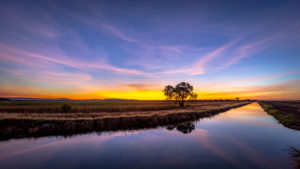 Ord River Irrigation Area in Kimberley